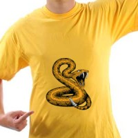  Snake | Zmija